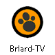 Briard-TV