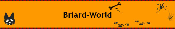 Briard-World